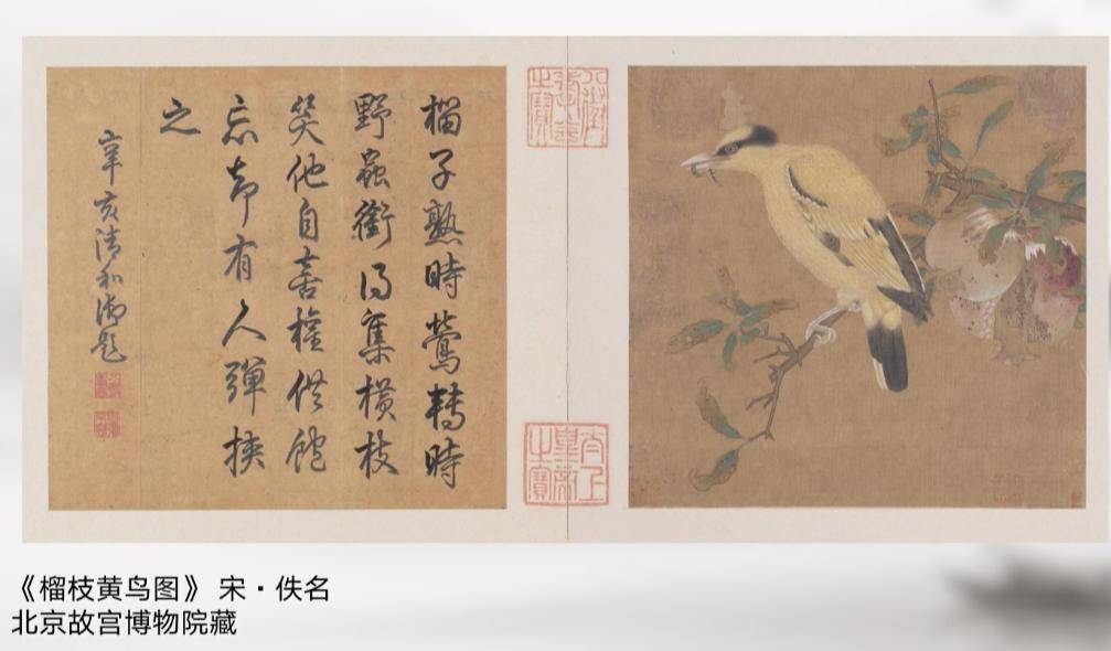 村女|山楂：山童负担卖红果，村女缘篱采碧花