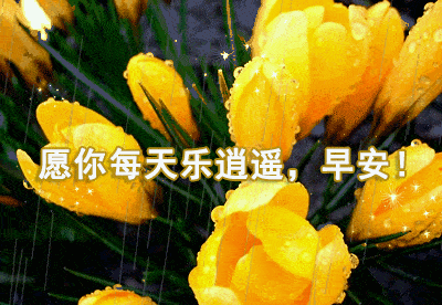 2020最美早上好动态图片表情带字和鲜花,早安问候语配