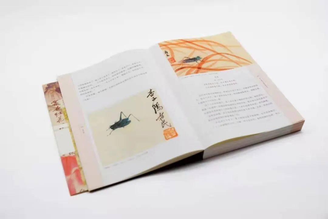 村女|山楂：山童负担卖红果，村女缘篱采碧花