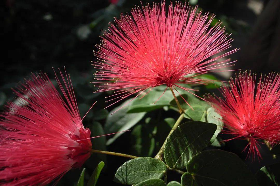 眼罩|明亮双眸!新一代冰感眼罩,冰热双温SPA,赶走黑眼圈、红血丝!