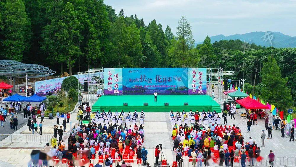 野三关森林小镇建设将投资百亿,森林花海花开惠万家