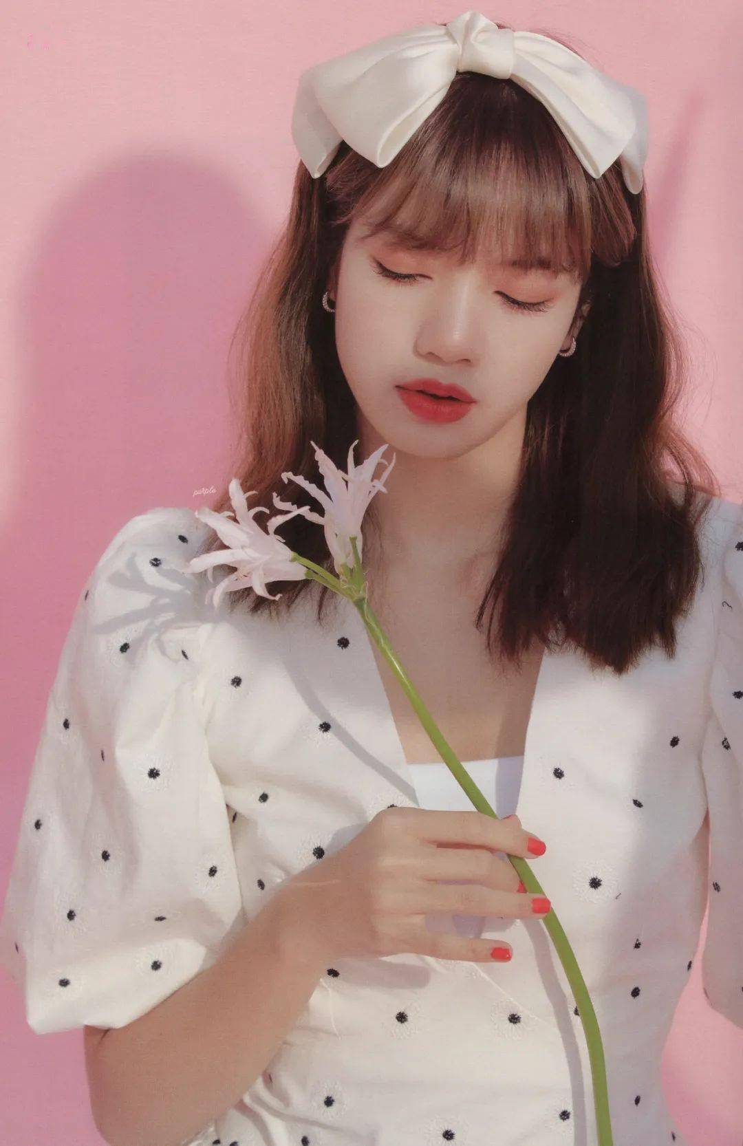 lisa头像壁纸背景图