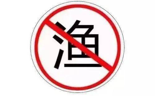 打击非法捕捞这些行为违法这些渔具禁用你知道吗