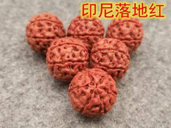 如何分辨金刚菩提子的真货和假货_搜狐网