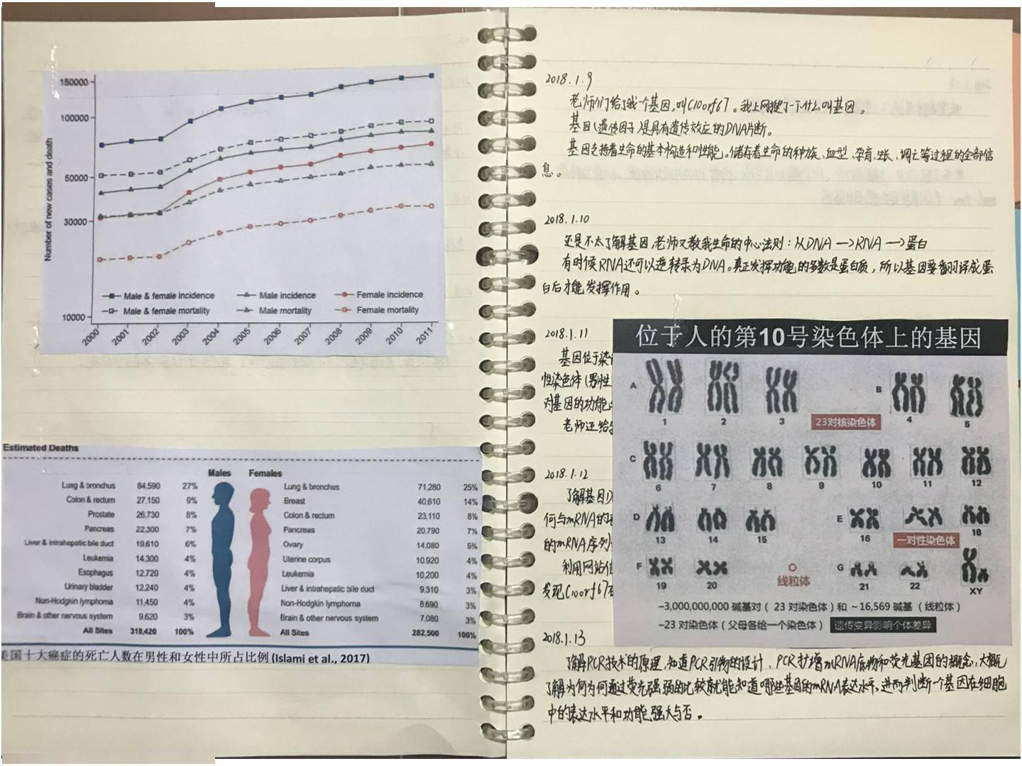 中科院昆明动物所回应小学生研究基因获奖：系研究员之子