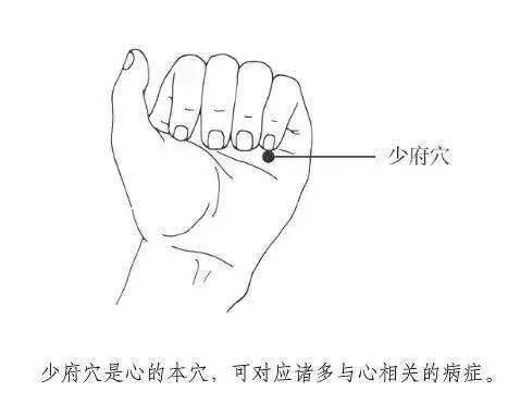 什么方法可以缓解心悸 0b079ac75f494685b52d7c2dd6009163.jpeg