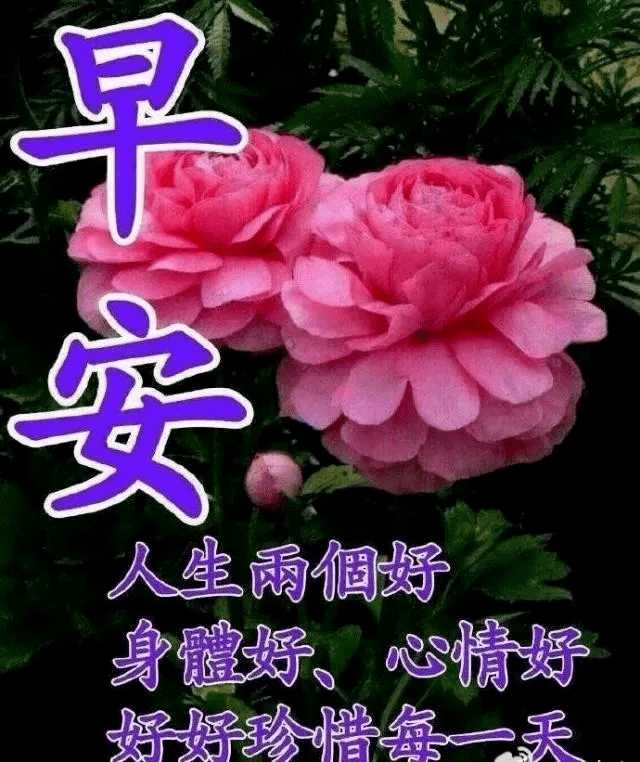 7张夏天漂亮早上好表情动态图片带字和鲜花,早上好问候祝福动态图片