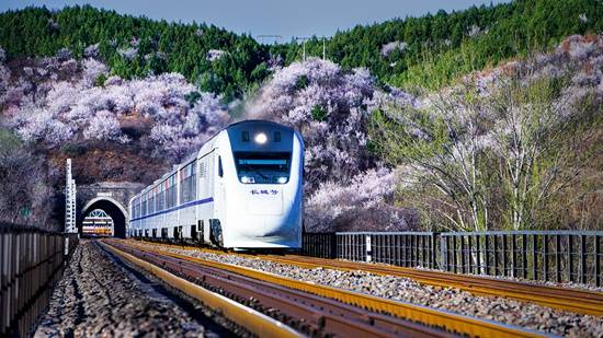 通勤路上赏景!市郊铁路怀密线怀柔段沿线景观提升完成