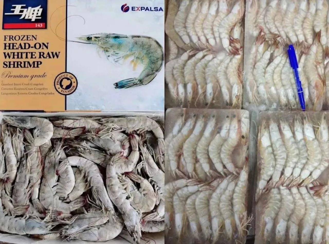 厄瓜多尔|六问“南美白对虾”：你是谁？为什么要从厄瓜多尔进口？