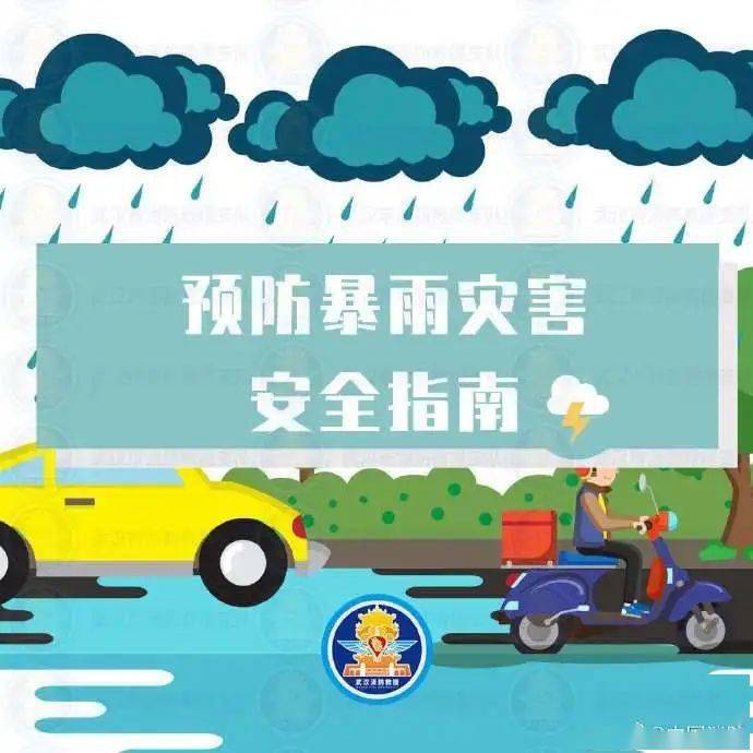 暴雨预警,雷雨天出行安全须知!---武汉生物城小金星幼儿园温馨提示