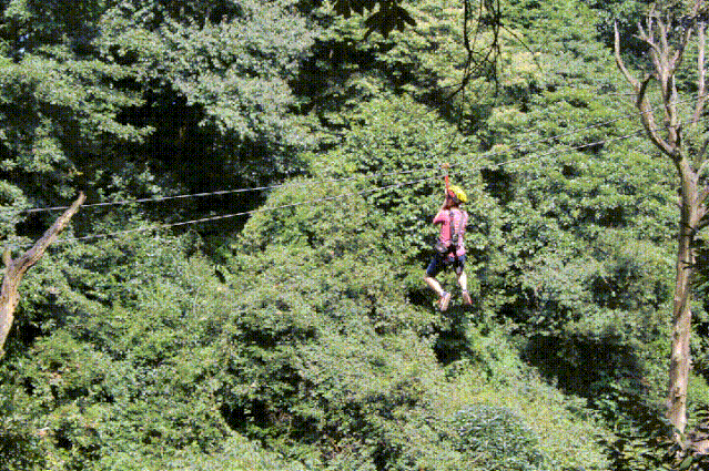 蒙顶山历史悠久,是与峨眉山,青城山齐名的