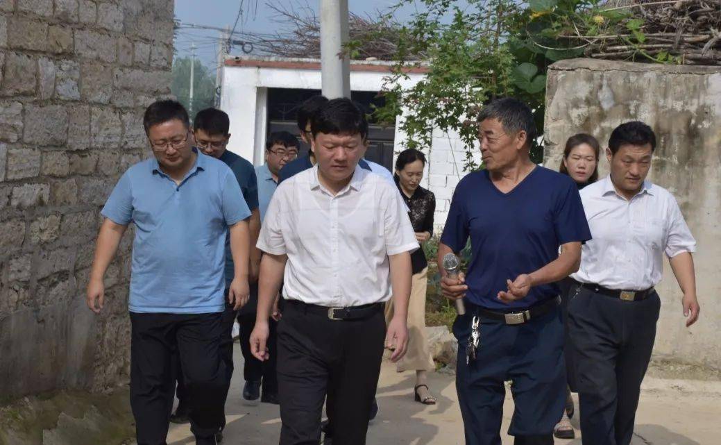 美丽乡村进行时桃园镇集中观摩常态化持续发力促提升