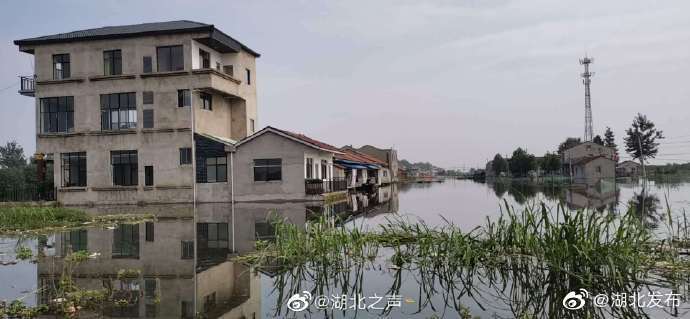 险情|洪湖水位继续上涨 ，超过3万人上堤防汛值守