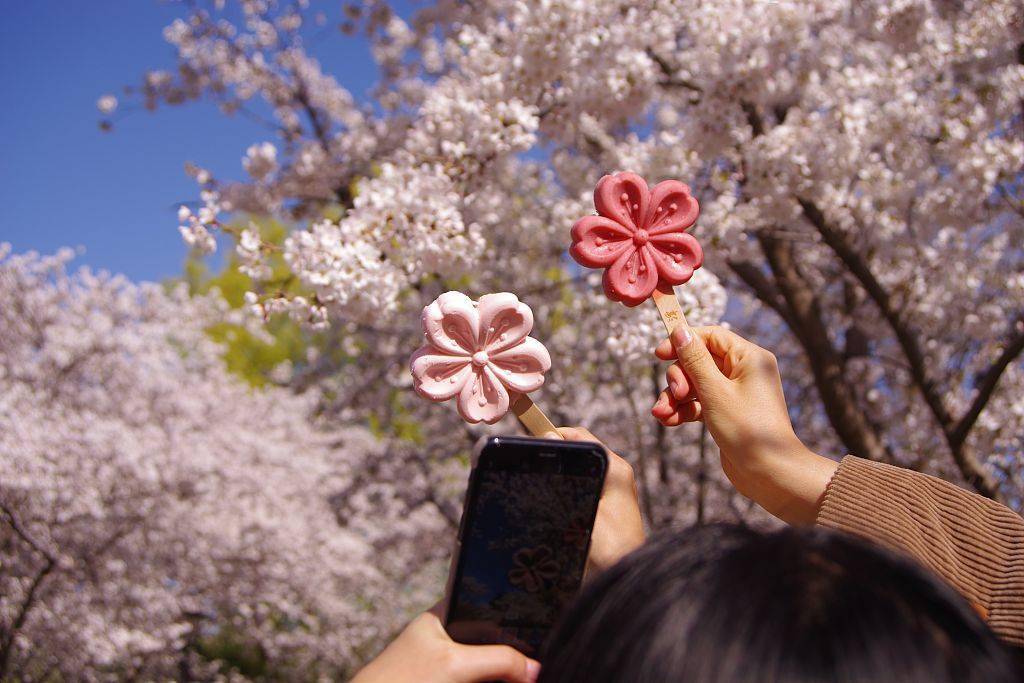 2020年3月27日,北京玉渊潭公园樱花盛开,樱花雪糕抢眼,十五元一支.