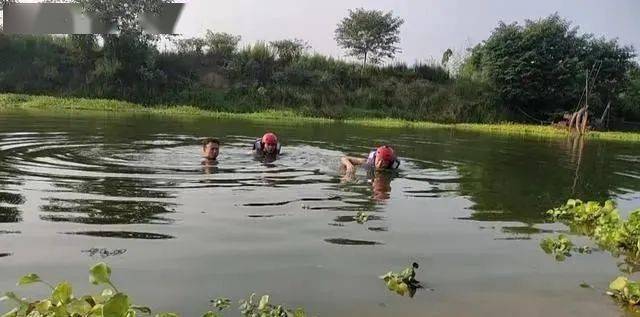 孩子|刚放假就出事，三名孩子溺水！方城家长一定一定要看好孩子！