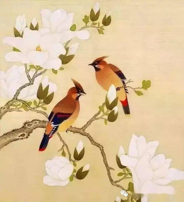 国画欣赏春天的仙子赏历代名家笔下的玉兰花