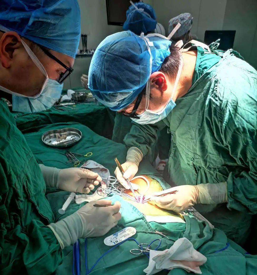 血管|市中西医首例下肢人工血管动静脉内瘘术 为尿毒症患者打通“生命线”