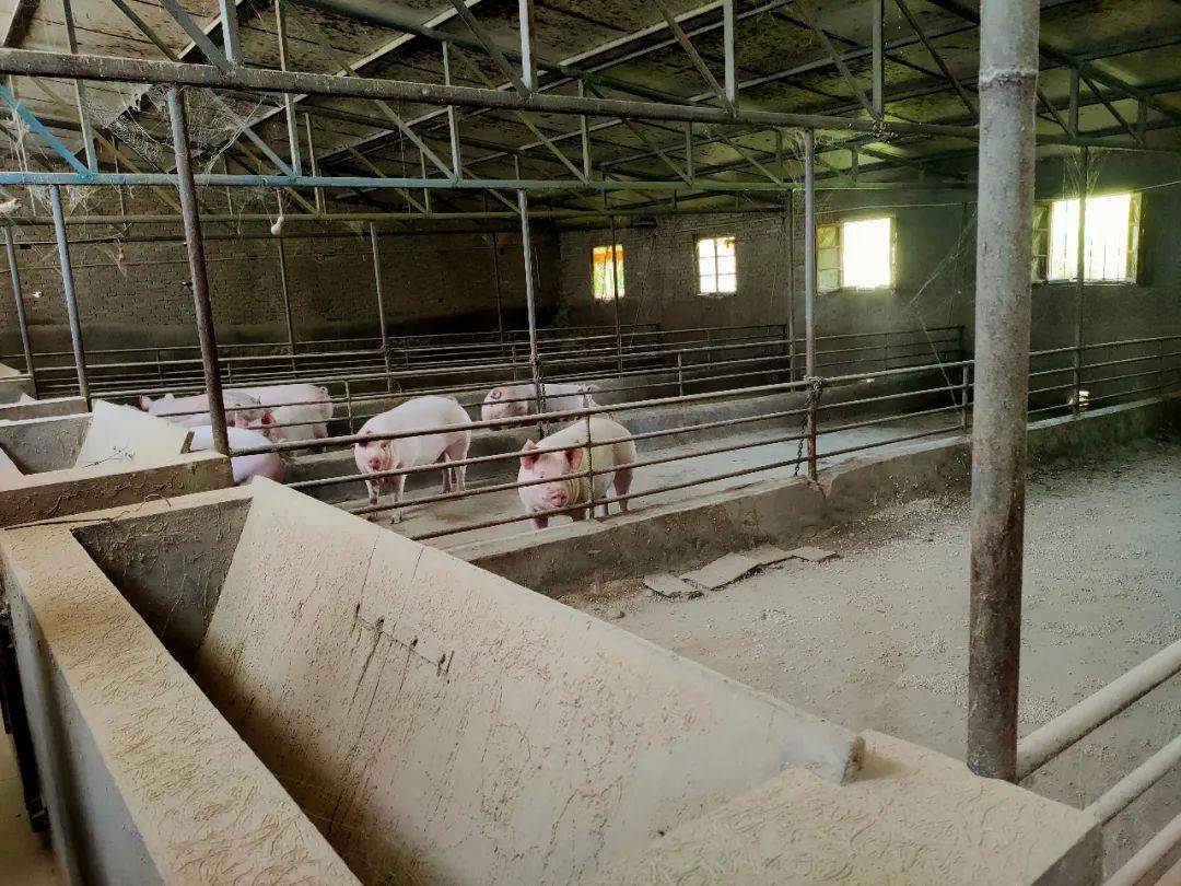 小型生猪养殖场粪污处理主推模式