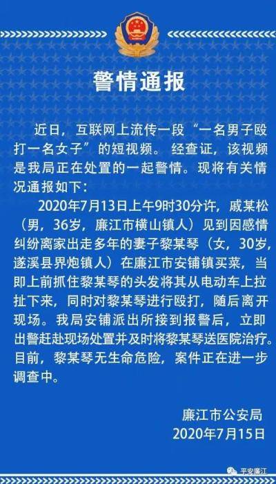 廉江那个镇人口最多_湛江人口最多的四个县区 第一名是廉江(2)