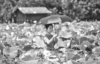 乡村|乡村旅游消费升温