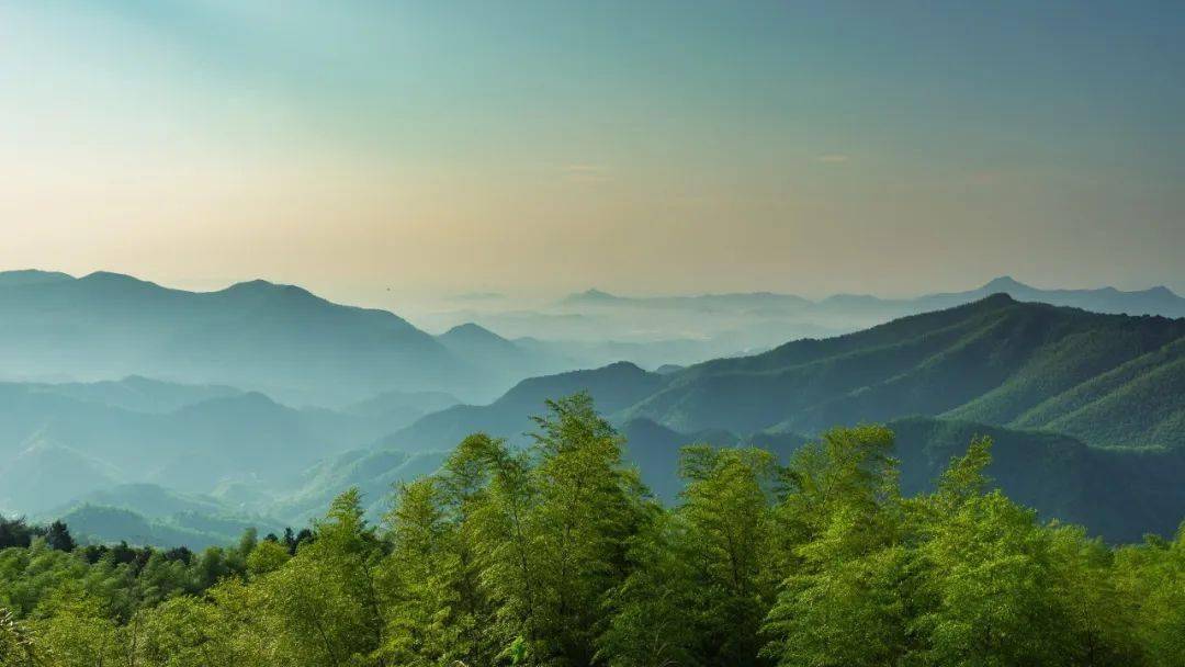 这个7月,一起打卡余杭静谧的夏日角落