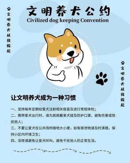 关注文明养犬!三明市这部地方法规正在制定