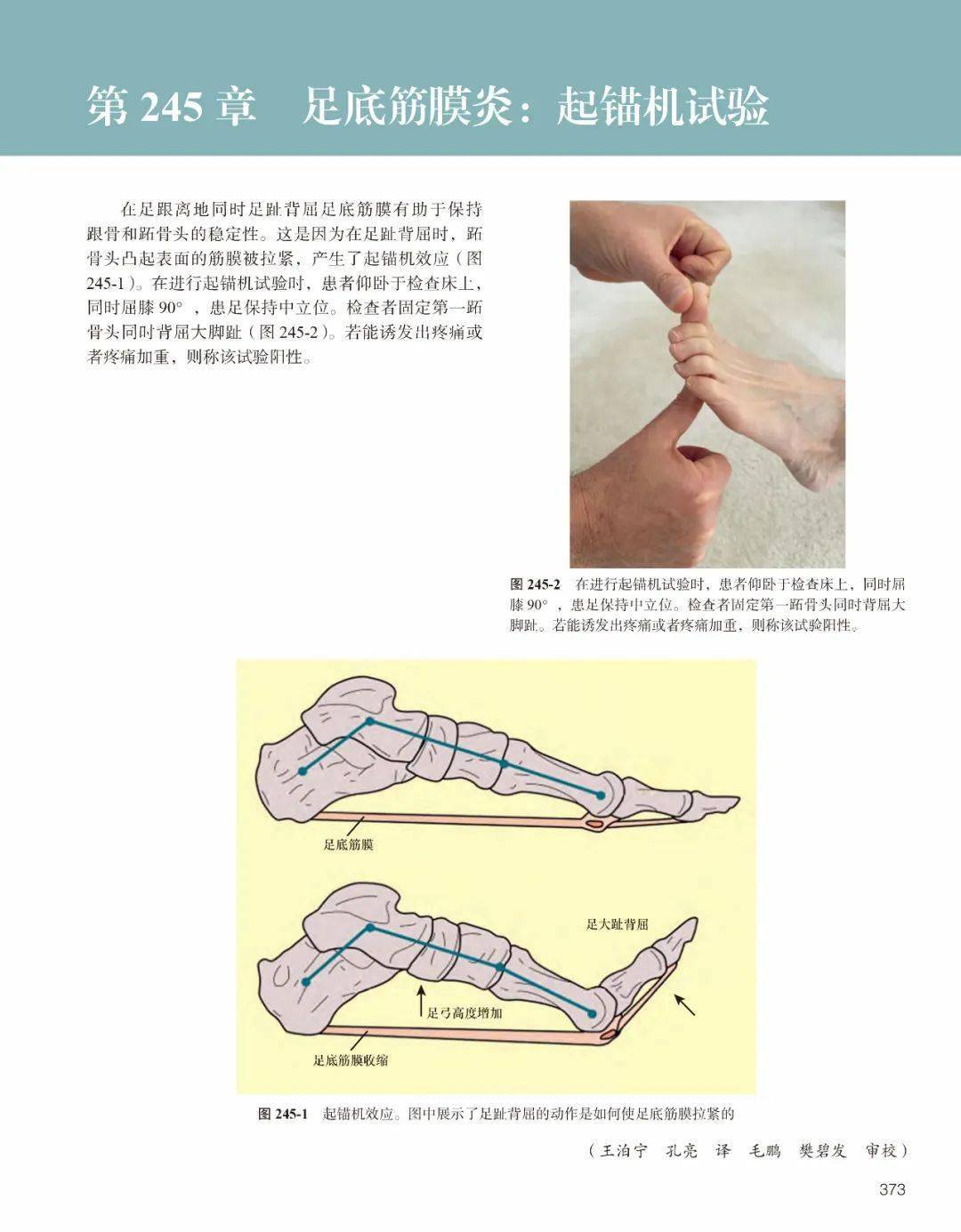 经典译著《疼痛的症状与体征图解》第3版火热来袭,专注疼痛体格检查!