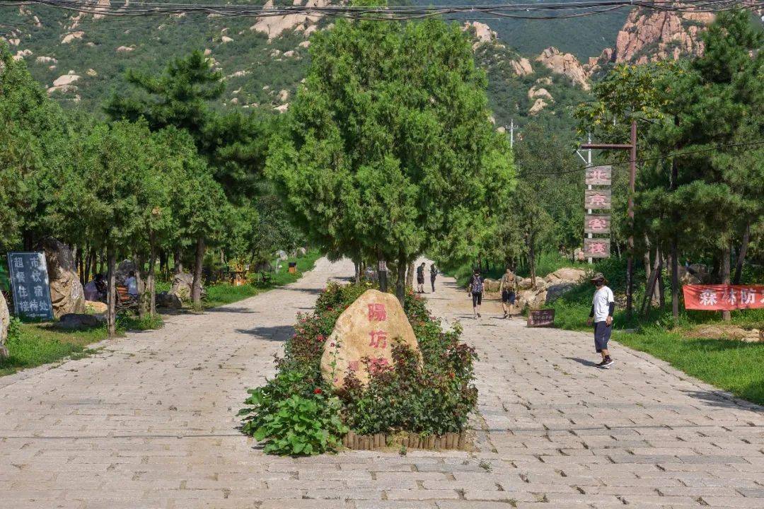 的迎客石上走进景区北京后花园(白虎涧)风景区位于阳坊镇白虎涧村西