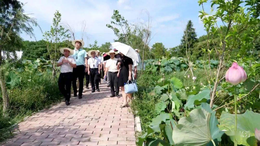 住建部挂职连城县委常委,副县长的程文锦同志也对长汀历史文化名城的