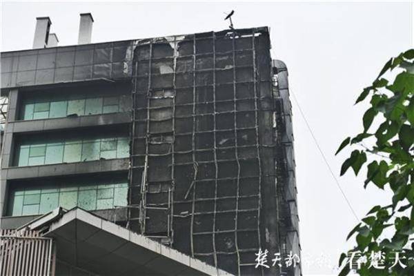 楚店人口_人口普查