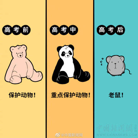 高考|高考前后考生的家庭地位