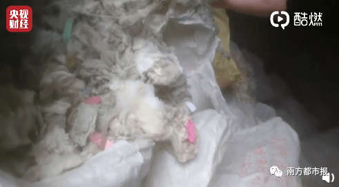 海参|汉堡王/宝骏/万科……刚刚，3·15晚会曝光9大问题，企业火速道歉