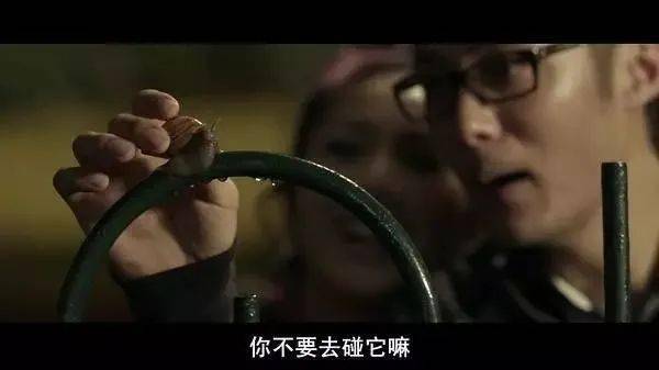 对方|猪八戒看了这个恋爱指南，结果入赘女儿国了