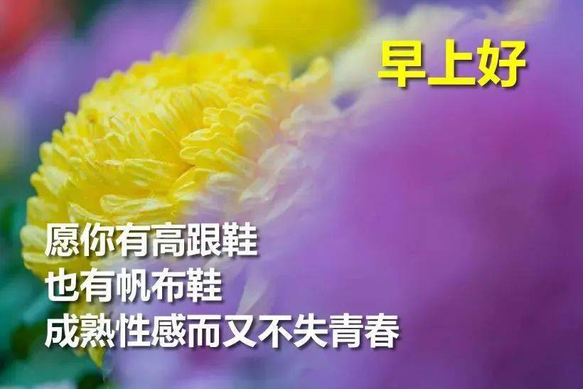 7月17日最漂亮早上好动态表情图片大全,早晨好动图美图大全