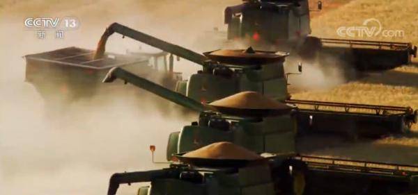 运行|上半年我国农产品市场运行总体平稳有序 价格变化基本正常