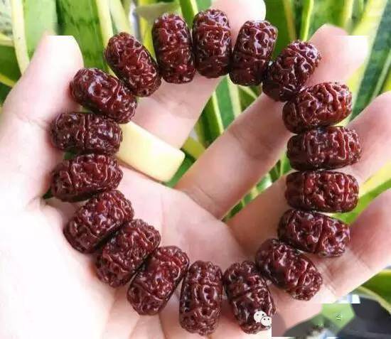 大金刚|什么样的大金刚值得买 谈一谈桩型纹路与皮色