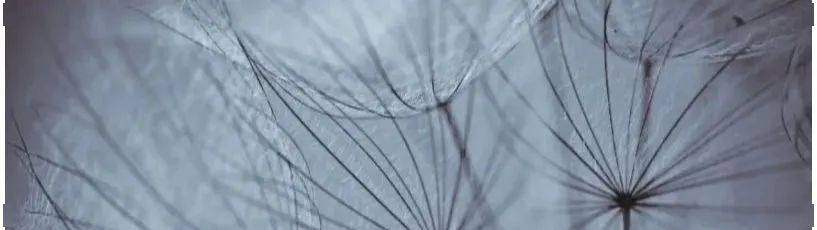 凉风|神器来也~~!又防晒又自带凉风,这个风扇服已在日本火了好多年!夏天户外必备~