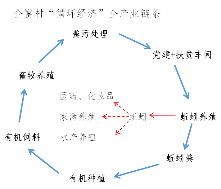 2019年投资9000元建成蚯蚓养殖基地一处面积700平方米,投放蚯蚓种苗