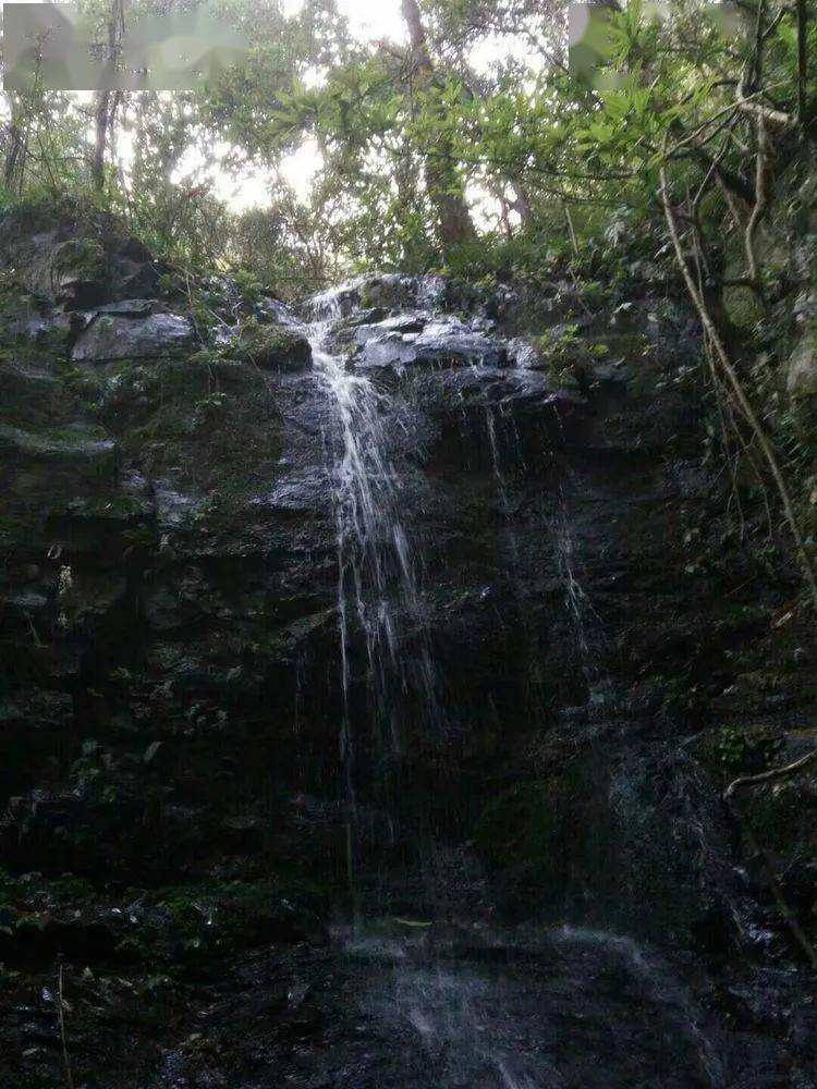 雨丝瀑,位于瓮潭上游五十米处,因一山泉小溪水流极小,遇陡崖遂成雨丝