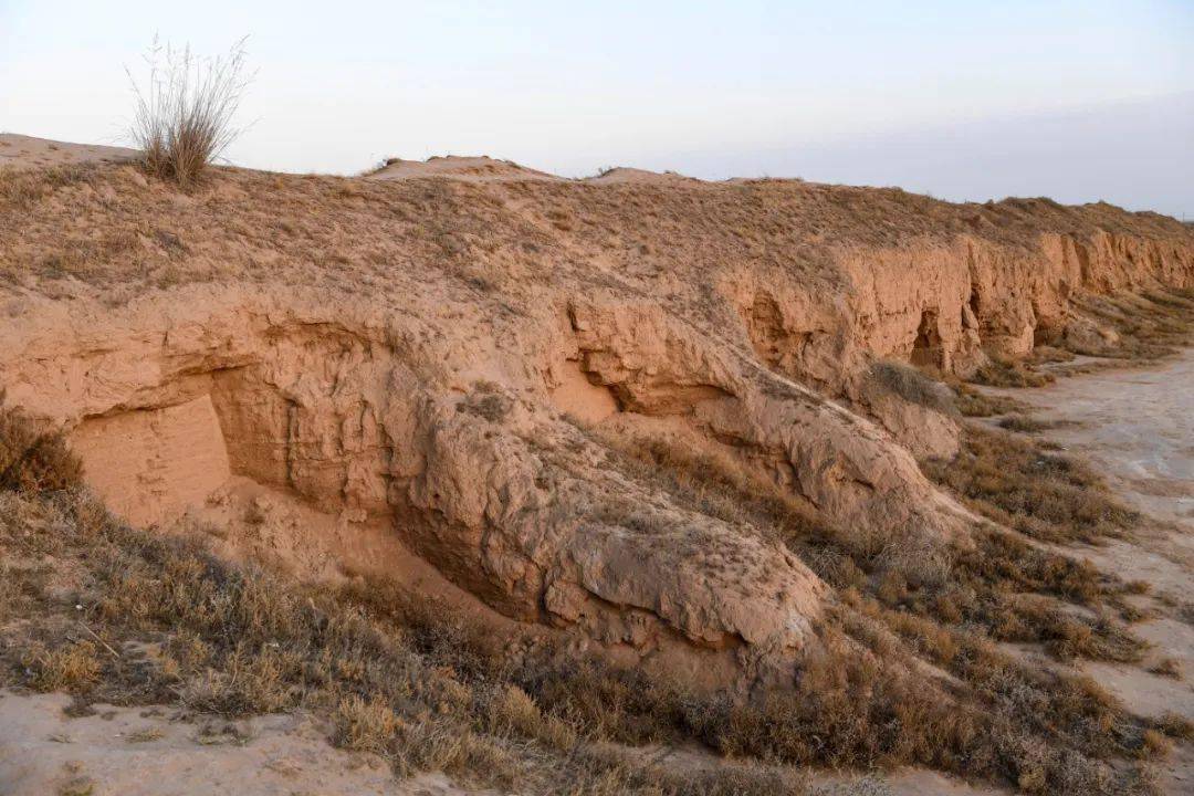 盐池县|这个偏居西北、因盐得名的县，为何被称为“露天长城博物馆”？｜草地·神州风物