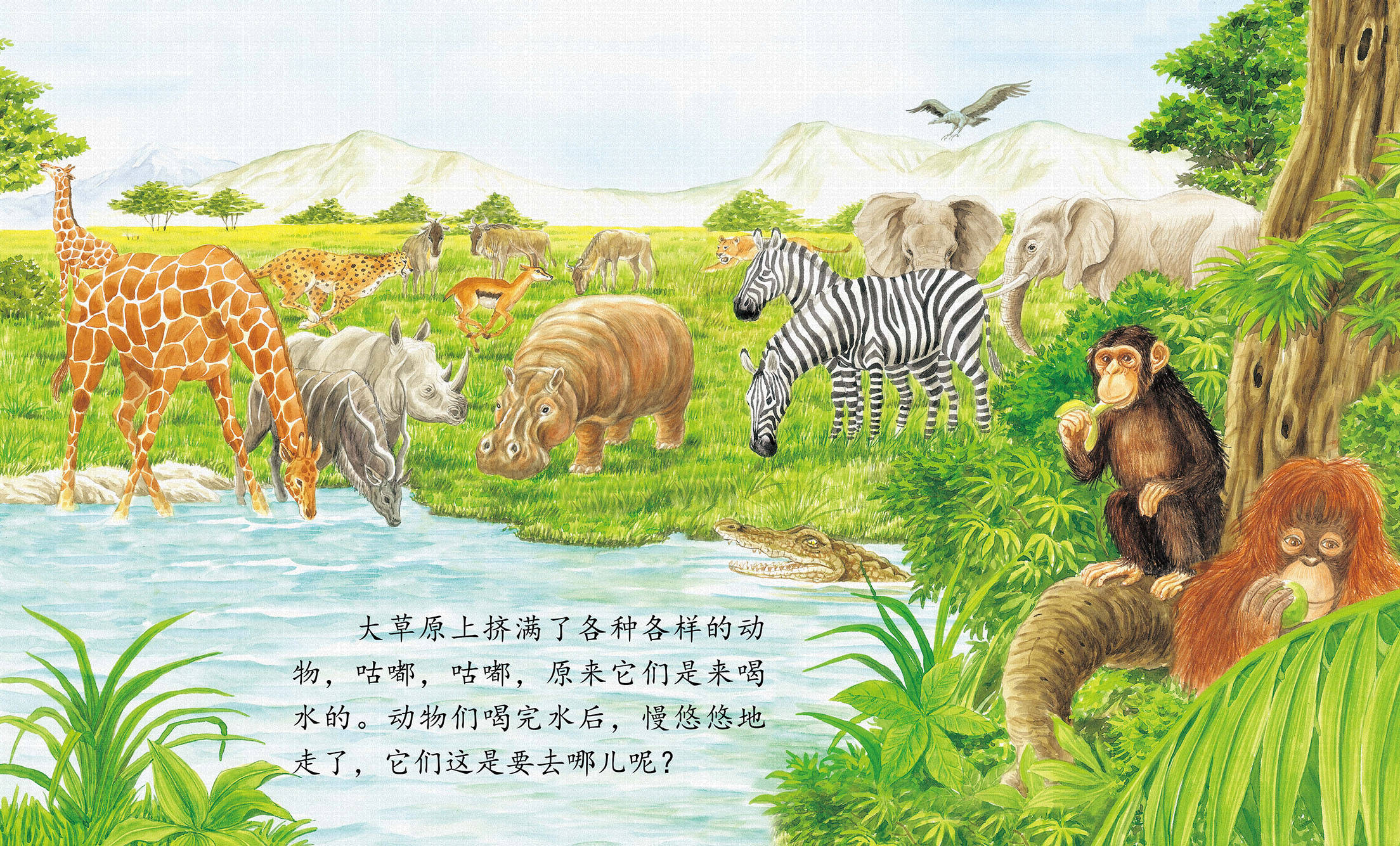 儿童绘本故事推荐《动物到底吃什么?》