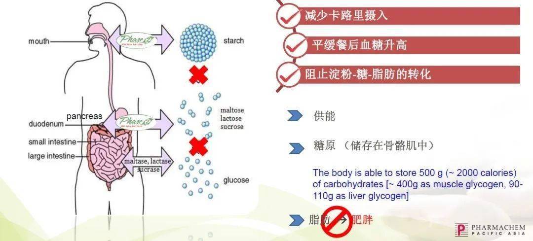 ta|真实评测｜不节食、不运动，一周瘦10斤，难怪迪丽热巴都在用ta做完美身材管理！