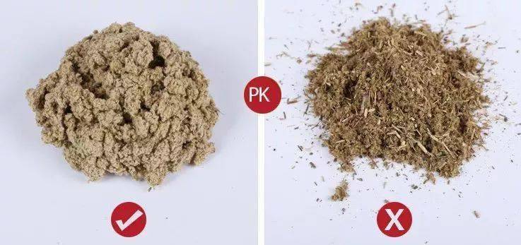 肚脐|想穿什么就穿什么的自信丨好物