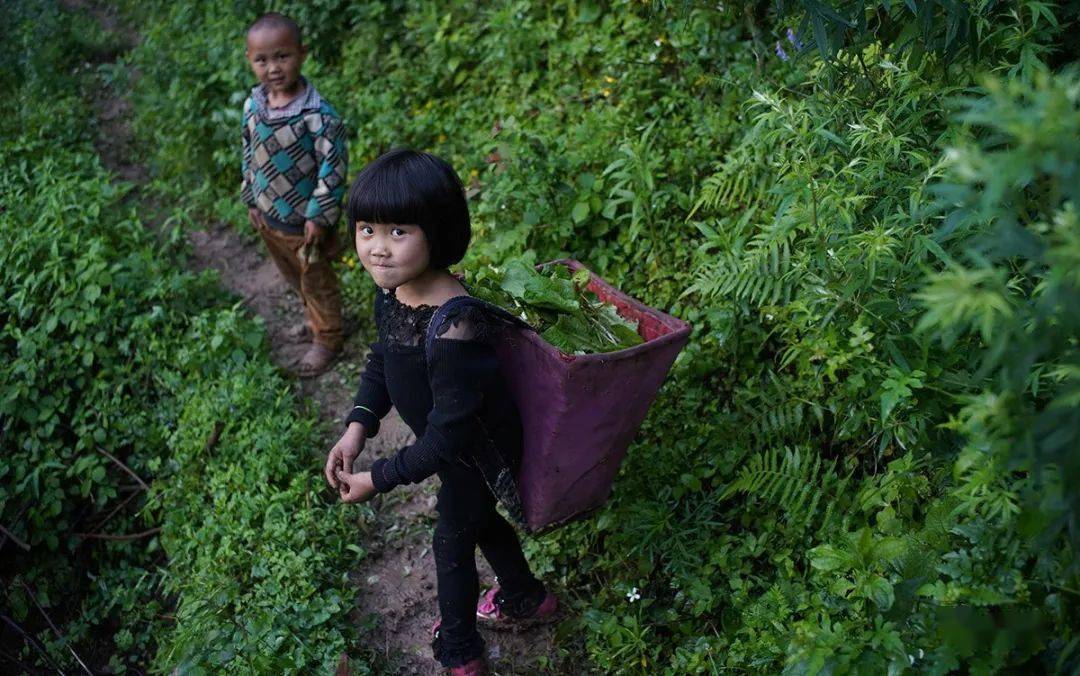 后易地搬迁时代:使老有所终,壮有所用,幼有所长_威宁县