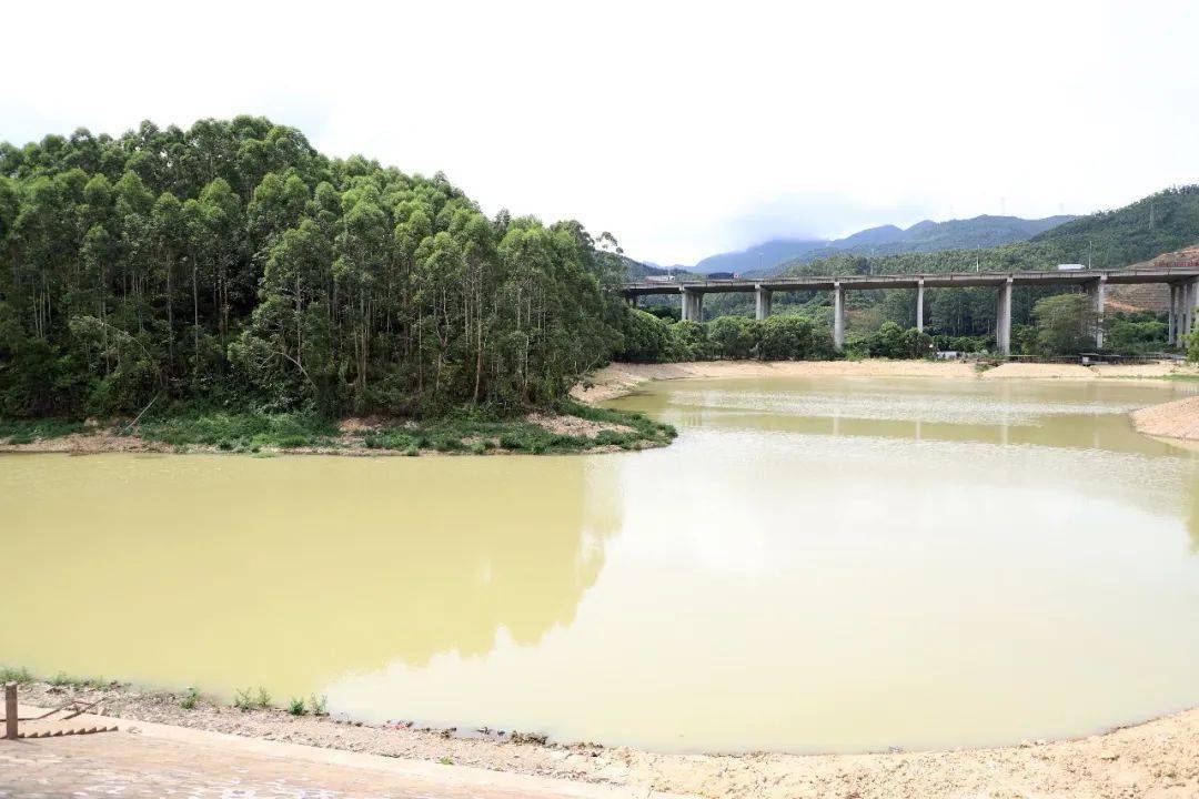 治污治水|谢岗镇加快推进石马河流域综合治理项目 7座