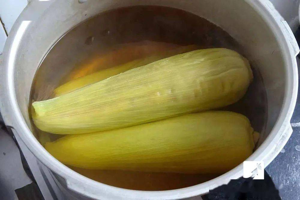 外行|只加水是外行！多放2种料，香甜软糯，鲜美营养，更好吃！煮玉米