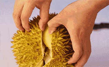 榴莲|这个夏天冰冰凉！网红水果配酒妙方