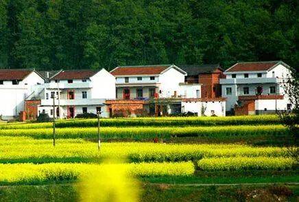 矿泉水瓶|细思极恐！人民币可能正在“偷拍”你