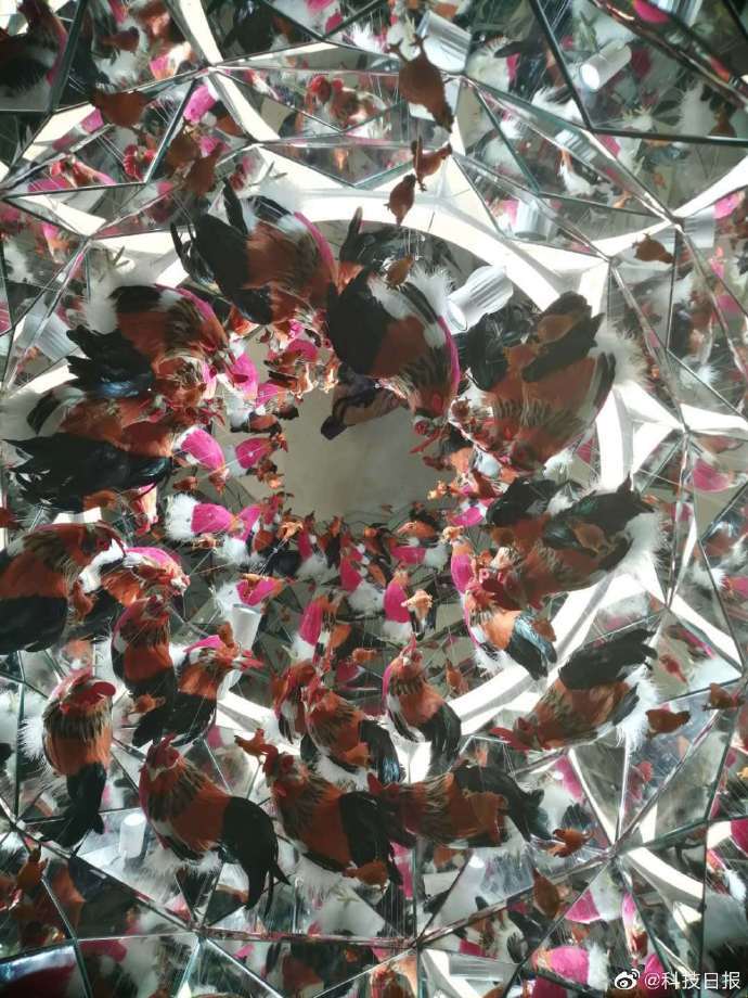 华熙|走进全球首座玻尿酸博物馆