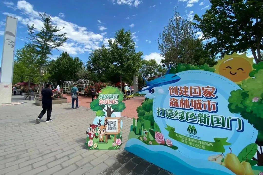 创城进行时创城点亮大兴万般美好
